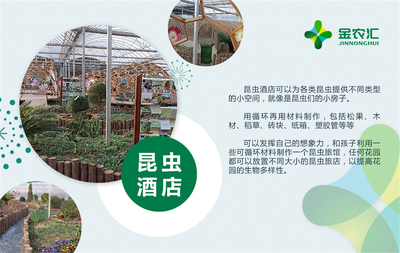 昆虫酒店